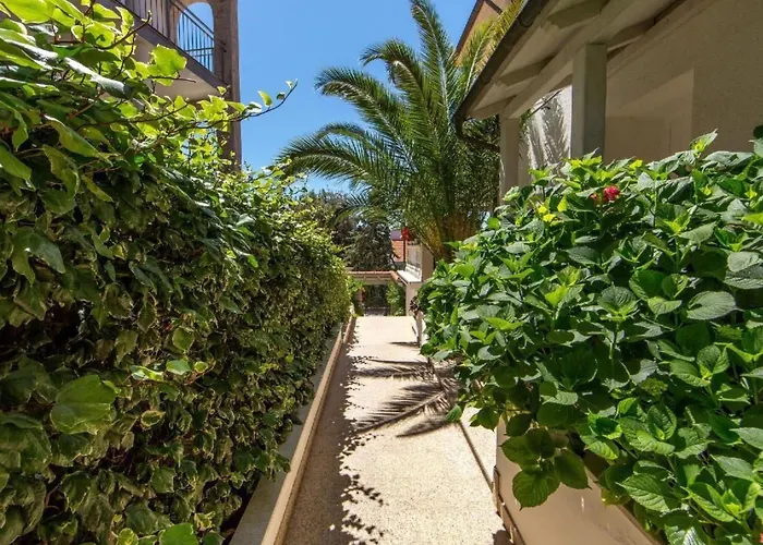 In Pjescana Uvala Mit Grosser Terrasse By Interhome 아파트